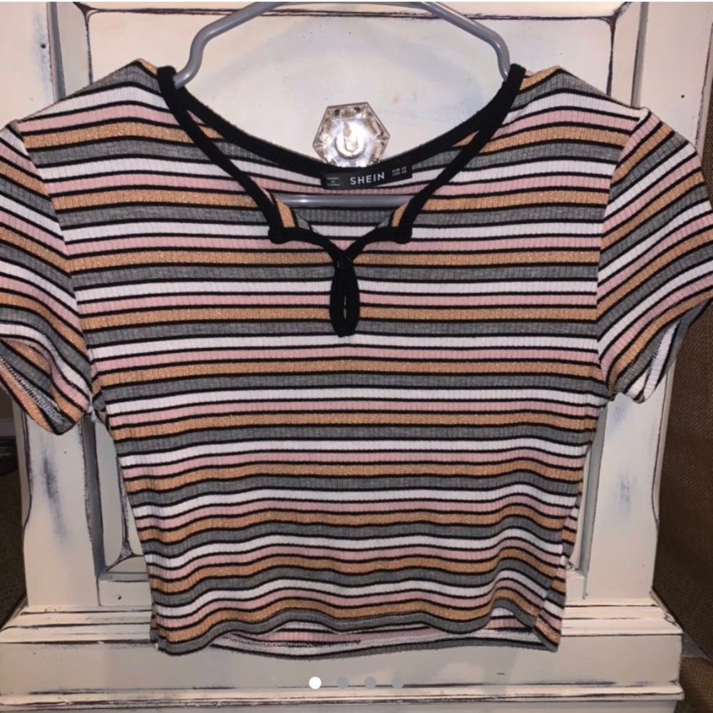 rainbow cropped t